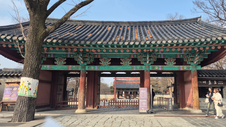 KakaoTalk_20260219_195914383.jpg