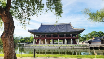 버들잎 흔들리는 소리 따라… 경복궁 경회루에 내려앉은 초록빛 여름
