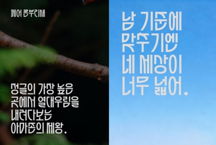 제33회 한글 글꼴디자인 공모전 입상작 '페어 큰부리새' 무료 공개