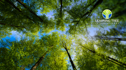 Learning Tree International, ServiceNow 공인 교육 파트너 선정… AI 기반 디지털 전환 지원 확대